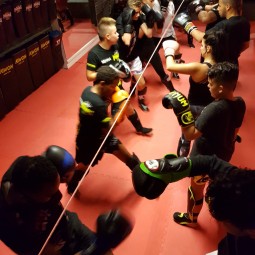 Volwassenen Lidmaatschap